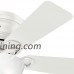 Hunter 52138 Hunter Haskell Ceiling Fan with Light  42"  Fresh White - B0777HNPJ9